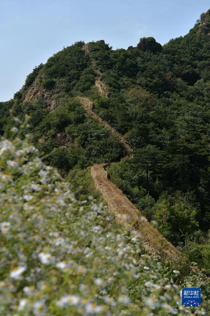 pt电游